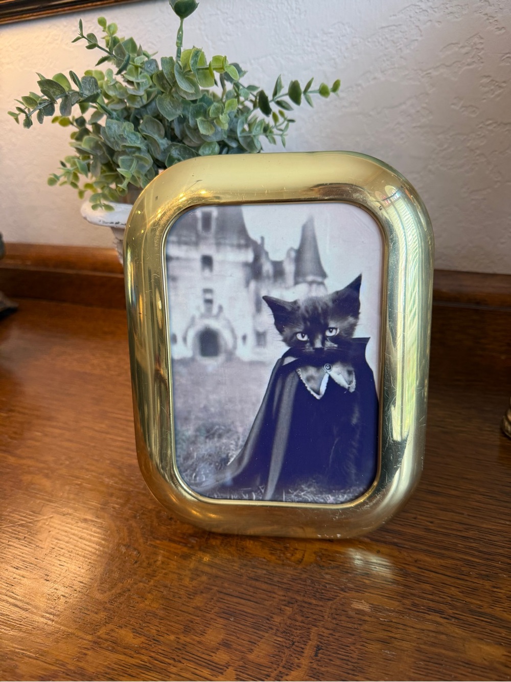 Vintage Solid Brass 5” X 7” Photo Frame with Gothic Black Cat - Picture 7 of 9